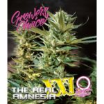 Growers Choice AMNESIA THE REAL XXL AUTO
