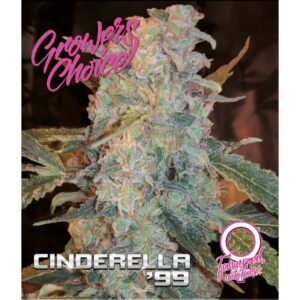 Growers Choice CINDERELLA 99 AUTO