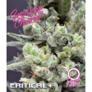 Growers Choice CRITICAL + AUTO