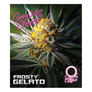 Growers Choice FROSTY GELATO AUTO