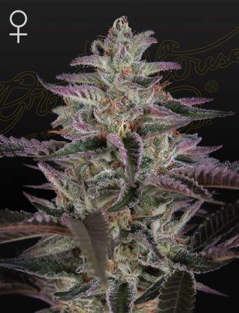 GREEN20BANANA20KRUMBLE.jpg