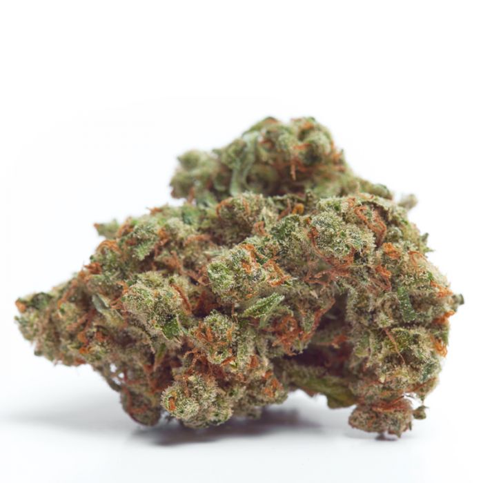 GROWERS CHOICE GORILLA COOKIES AUTO