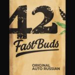 RUSSIAN AUTO FLOWER CANNABIS SEEDS