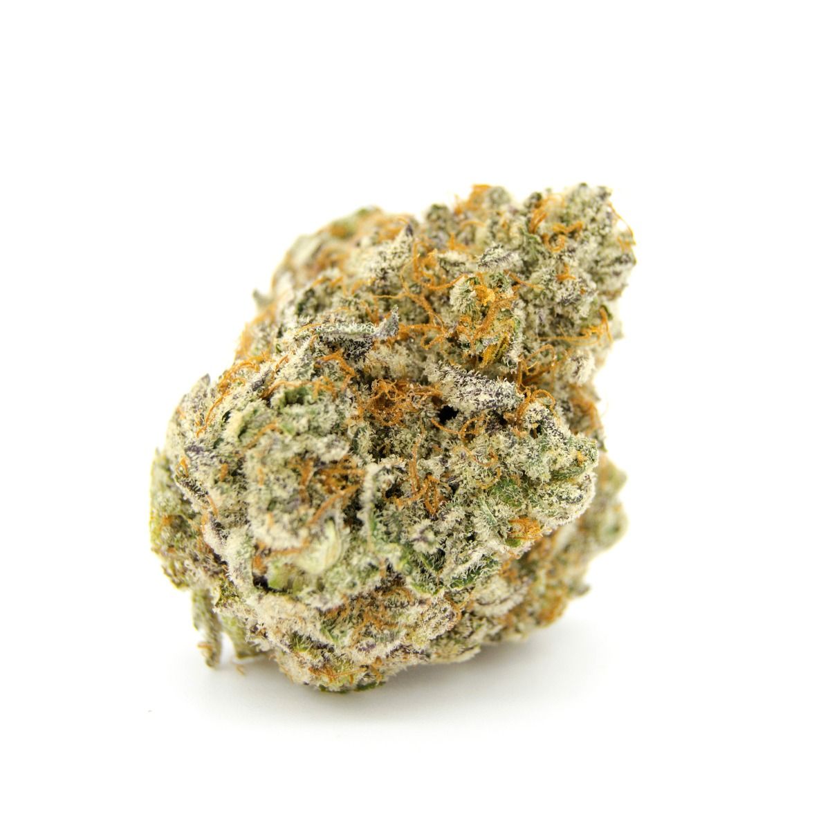 Growers Choice FORBIDDEN RUNTZ DOUBLE XL AUTO Growers Choice FORBIDDEN RUNTZ DOUBLE XL AUTO